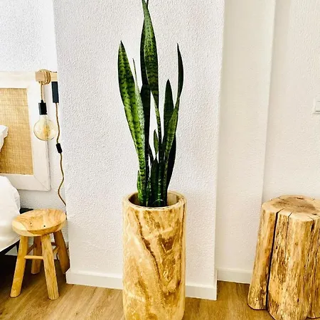 Caparica Rooftop * Costa da Caparica