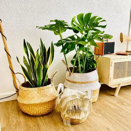 Apartmán Caparica Rooftop