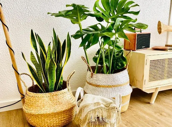 Apartamento Caparica Rooftop